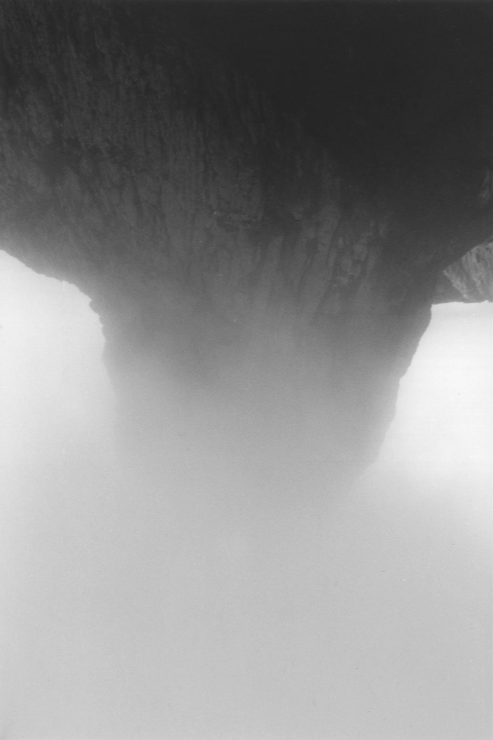 Llorando, or the island's apparition