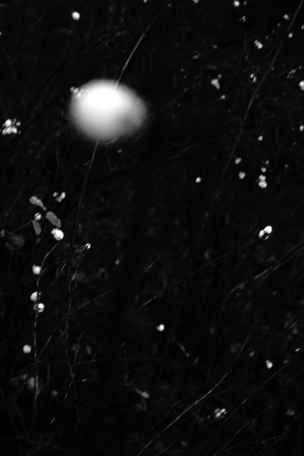 from that which acts to that which sees